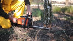 Best Aeration Services  in Roebling, NJ
